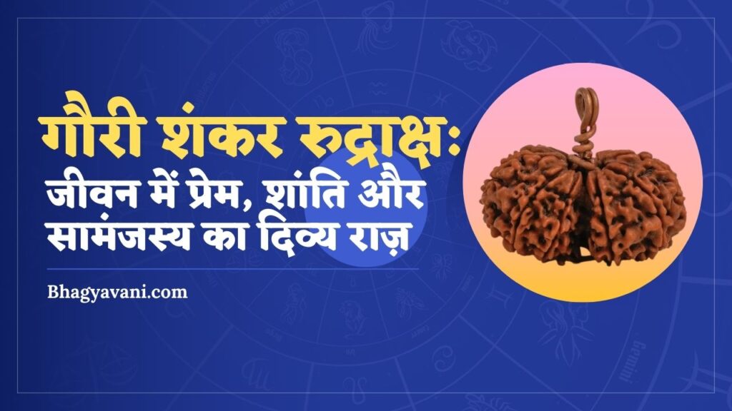 गौरी शंकर रुद्राक्ष gauri shankar rudraksh